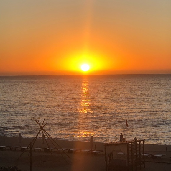 Meet your Posher, Nancy - Picture 1 of 1